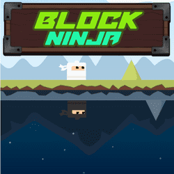 Block Ninja Game