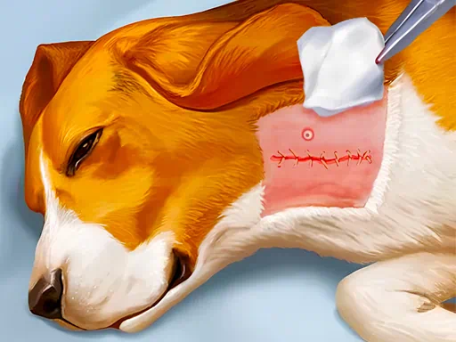 Dog Hospital Game