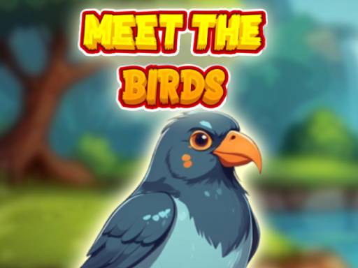 Meet The Birds Game