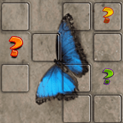 Butterfly Memory Match Game